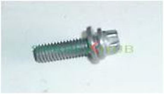 Picture of Torx Bolt