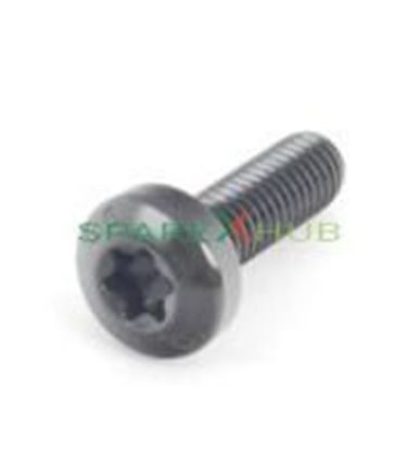 Picture of Oval Head Screw